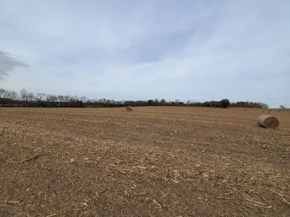 Wooded land during the first viewing of 51 West