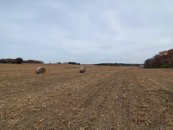 Open land during the first viewing of 51 West